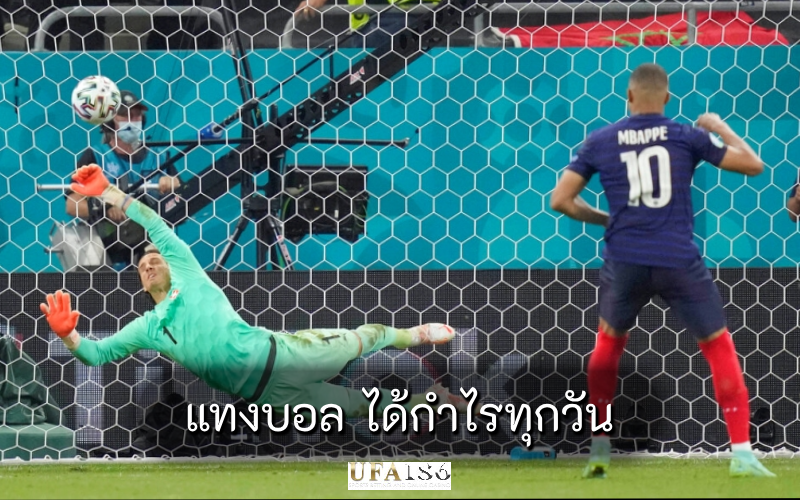 แทงบอล ได้กำไรทุกวัน